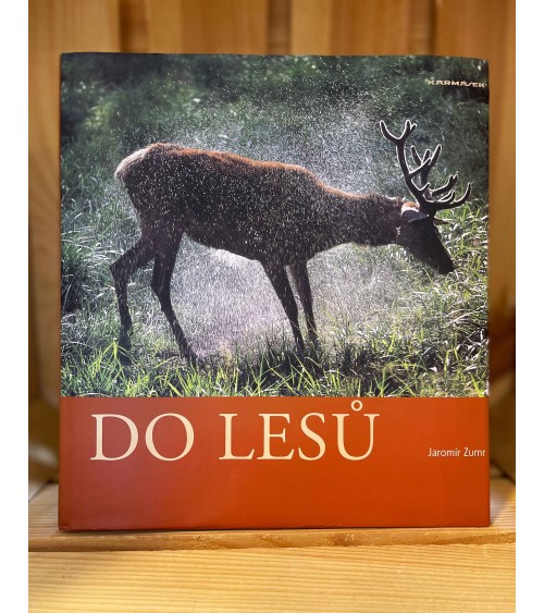 Do lesů